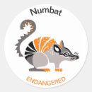 marsupial 動物を検索する