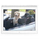 2010 年 オフィス用品 動物を検索する