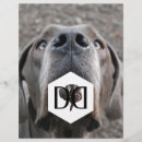 アウトドア フライヤー 告知を検索する