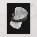 アナコンダ ポストカード おもしろいを検索する