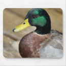 アヒル マウスパッド 水を検索する