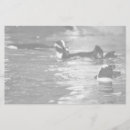 ペンギン 縦長 便箋 鳥を検索する