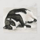 猫 ポストカード 水彩色を検索する