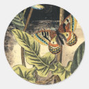 自然 シール 植物を検索する