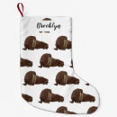 セイウチ クリスマス デコレーション 海を検索する