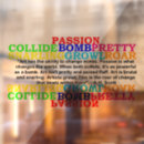 ウィンドウステッカー 枚を検索する