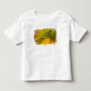 太平洋 tシャツ ワシントンを検索する