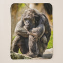 ゴリラ 動物 ブランケット 野性生物を検索する