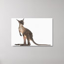 marsupial アート 動物を検索する