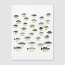 転居案内 クリスマスカード 緑を検索する