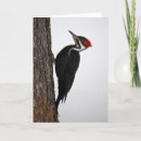 キツツキ ツツキ ツキ カード 鳥を検索する