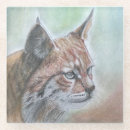 ボブキャット ブキャット キャット ャット ット コースター 野生生物を検索する