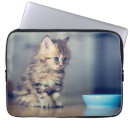 animal タブレット ラップトップ ケース Catを検索する