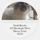 シャム 猫 シール 自然を検索する