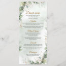 樹林 ポストカード ゲストを検索する