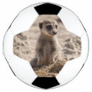 ベビー サッカーボール かわいいを検索する