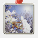 桜 オーナメント 自然を検索する