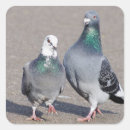鳩 シール 動物を検索する