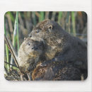 カワウソ ワウソ ウソ マウスパッド 動物を検索する