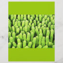 明るい 緑 フライヤー 色を検索する