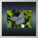 環境 保護 ポスター 保全を検索する