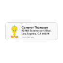 郵便 アクセサリー ツイッターバードを検索する