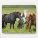 horse マウスパッド Icelandを検索する