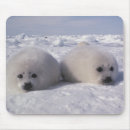 アザラシ マウス パッド マウスパッド 動物を検索する