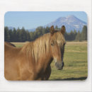 horse マウスパッド Ranchを検索する