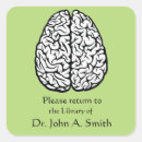 神経 科学 シール 脳を検索する