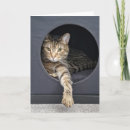 立方体 カード 猫を検索する