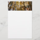 紅葉 便箋 樹木を検索する