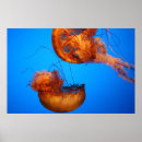 くらげ ポスター 青いを検索する