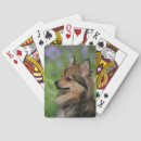 ポメラニア メラニア ラニア ニア 犬 カード ゲーム Langrishボブおよびpamを検索する