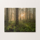 田園 景色 パズル 森林を検索する