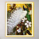 白い 孔雀 アート 青いを検索する