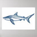 魚 ヴィンテージ ポスター イラストレーションを検索する