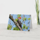 キツツキ ツツキ ツキ カード すべての人を検索する