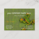 カエル 名刺 自然を検索する