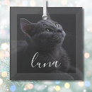 ペット メモリアル オーナメント オリジナルを作成を検索する