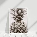 パイナップル ポスター 熱帯を検索する