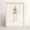 人体 解剖 ポスター 生物学を検索する