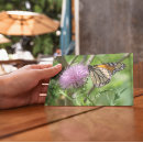 アザラシ ポストカード 女性を検索する