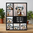 フォトカード あらゆる人を検索する