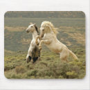 horse マウスパッド Wyomingを検索する