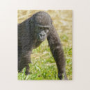 ゴリラ パズル 野生生物を検索する