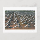 徴兵 ポスター ネイビーを検索する