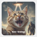ufo シール 猫を検索する