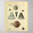 眼科 ポスター 芸術を検索する