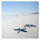 ヒトデ トデ タイル 熱帯を検索する